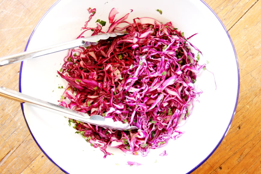 Quick Red Cabbage Slaw