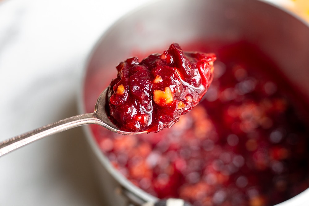 Close up of a spoonful of cranberry sauce, with the pot in the background.