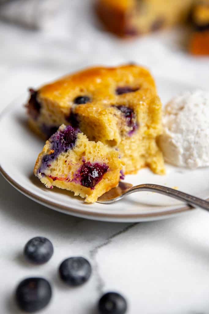 Close up of a forkful of gluten free blueberry cake on a plate. 