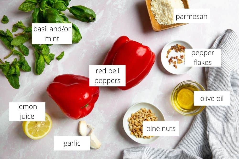 All of the ingredients for the roasted red pepper pesto recipe arranged on a surface with labels.