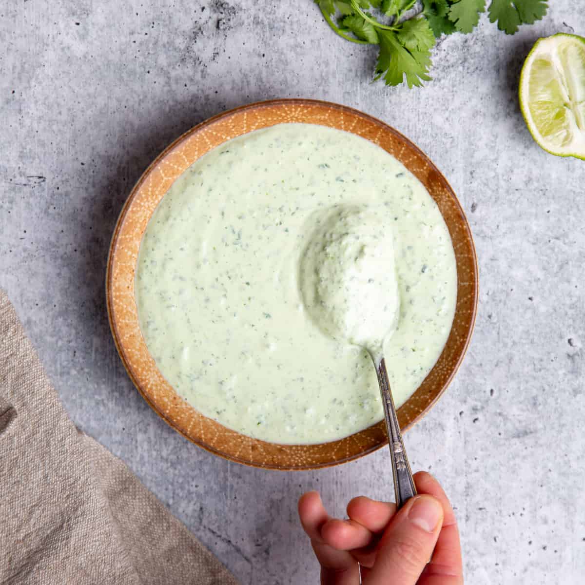 Spoon in a bowl of green sauce.