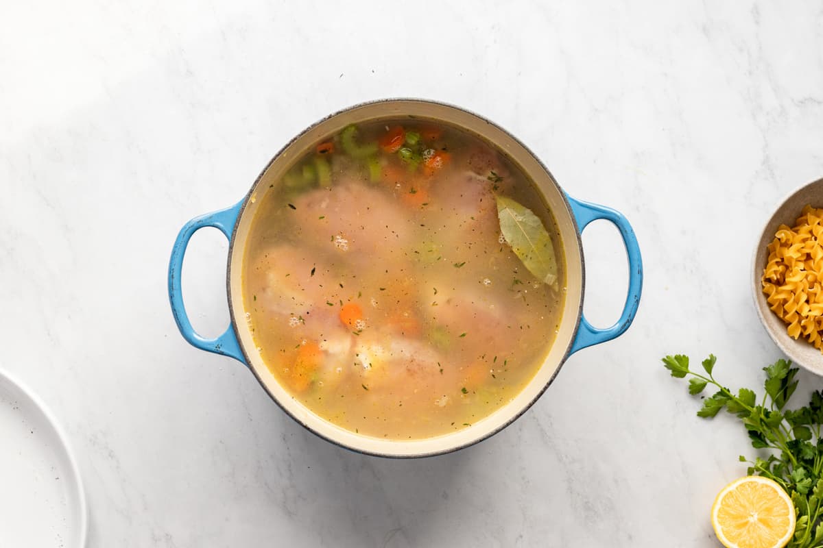 Easy Homemade Chicken Soup from Scratch From Scratch Fast