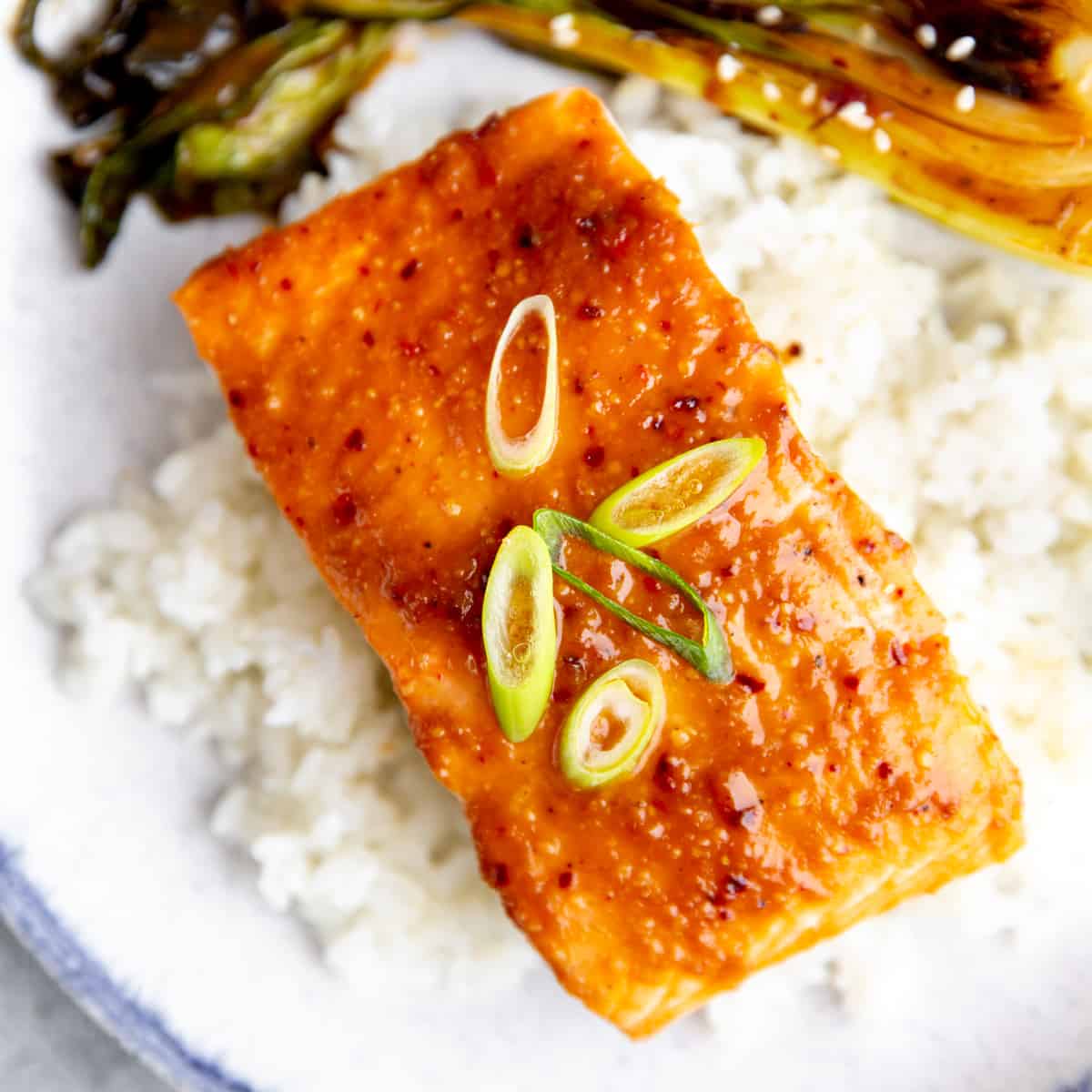 A filet of miso glazed salmon over rice.