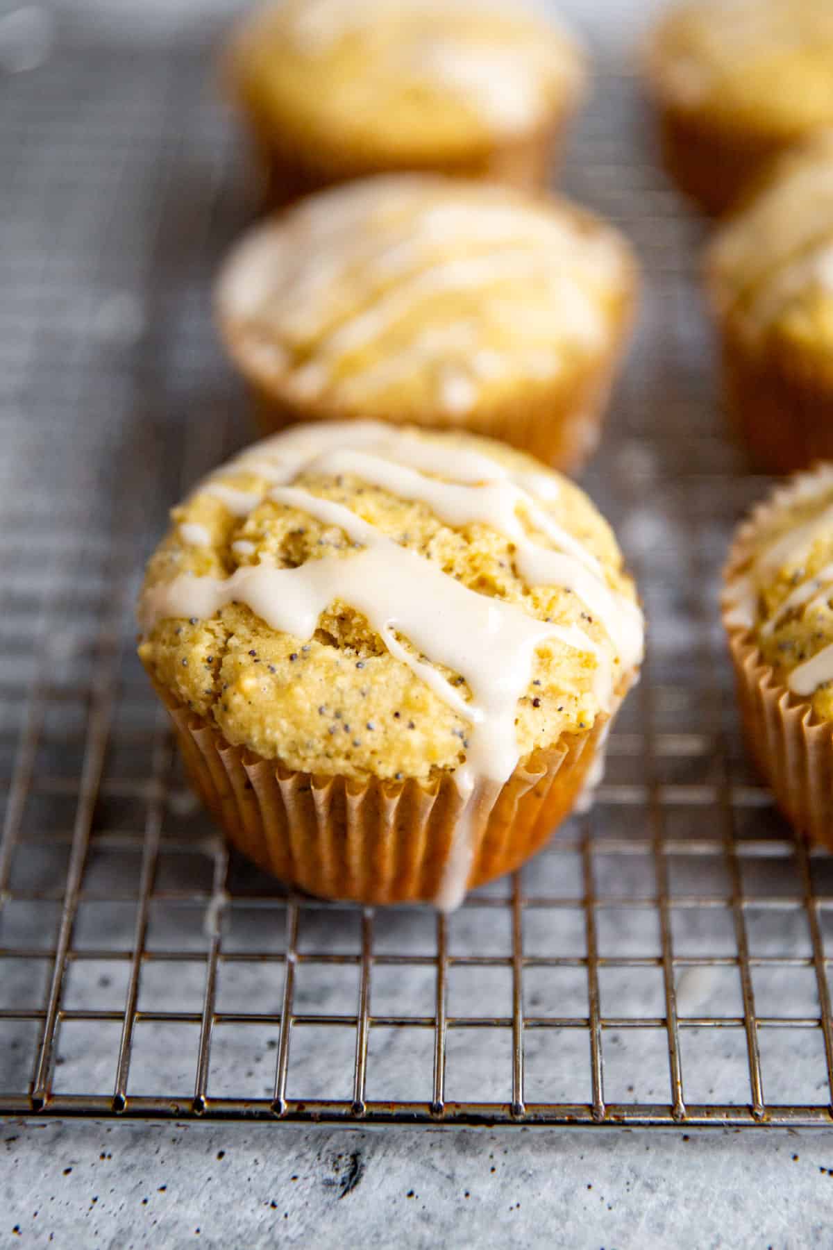 a glazed lemon poppy seed muffin close up