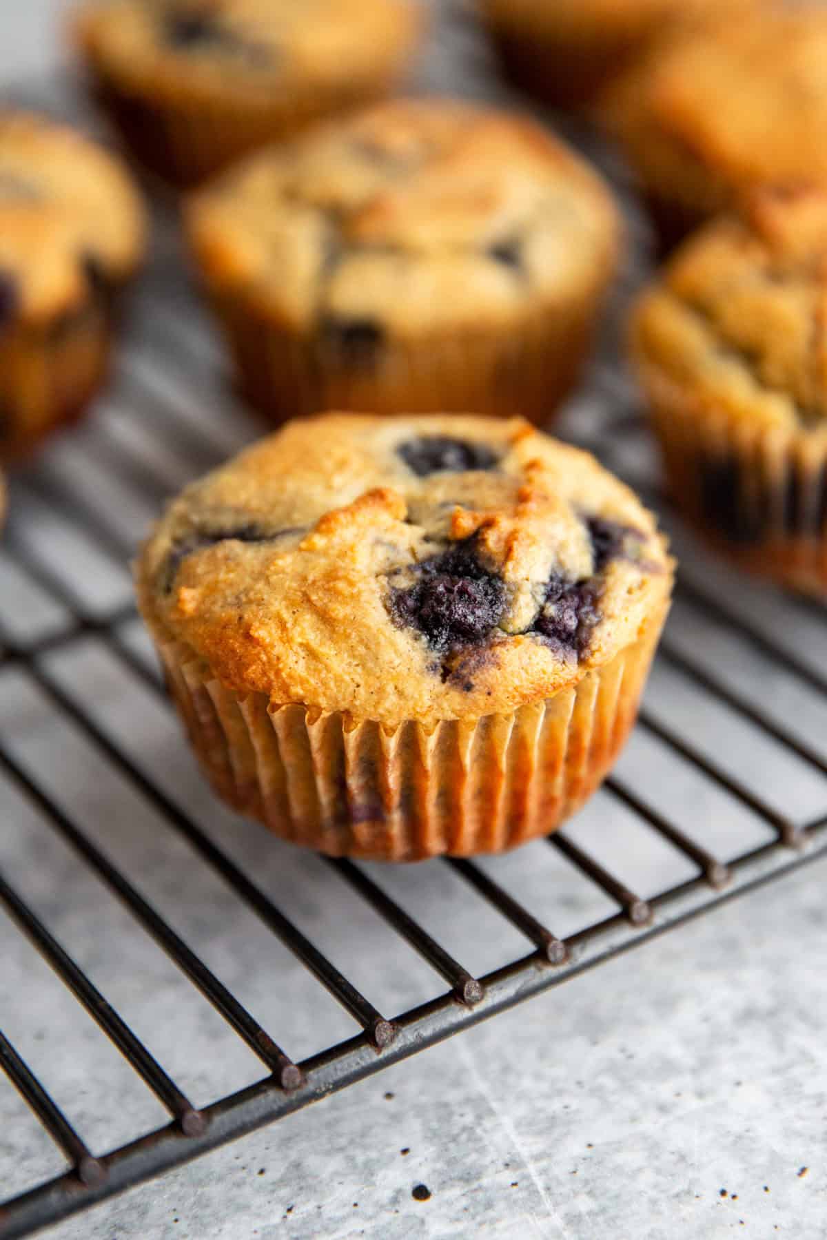 a gluten-free blueberry banana muffin on a wire cooling rack