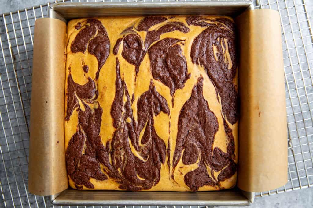 baked pumpkin cheesecake brownies with a visible swirl on top