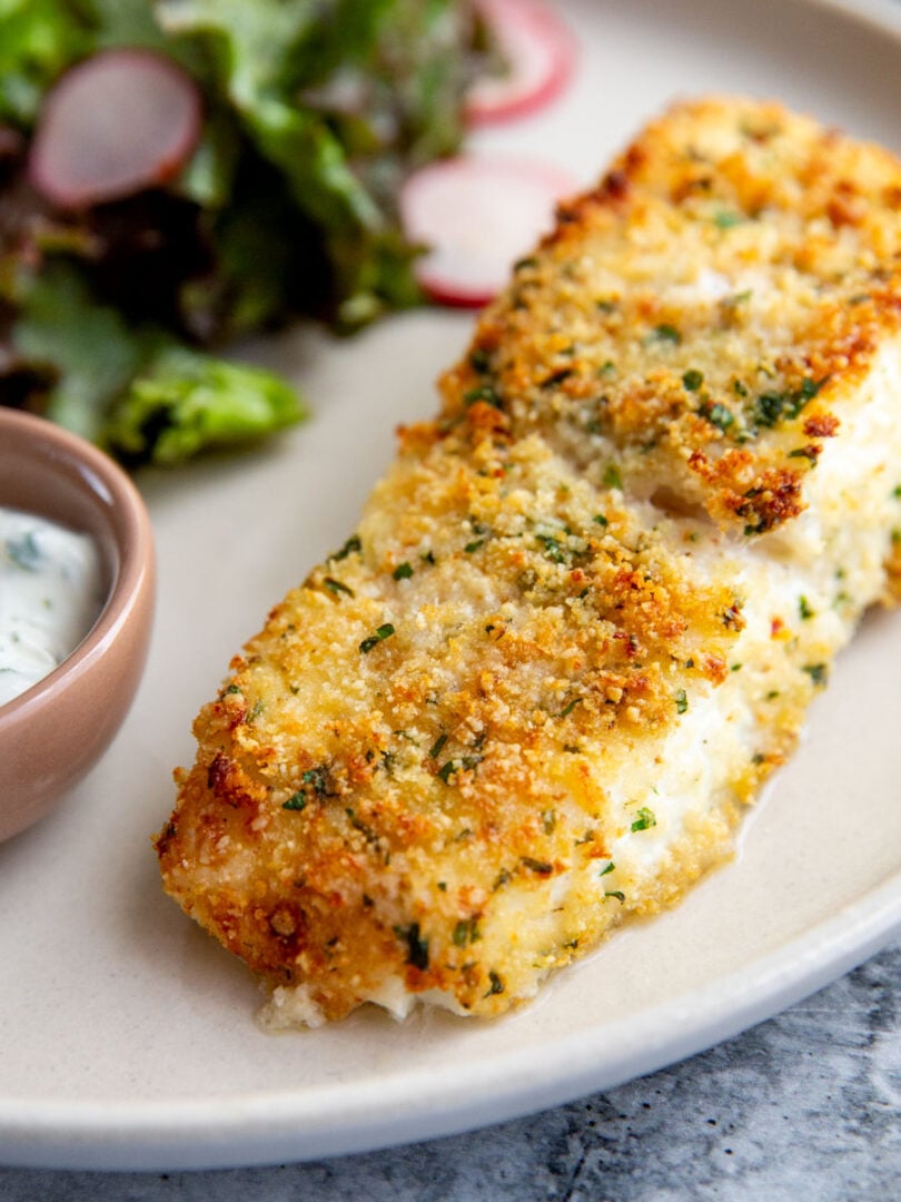 parmesan crusted halibut filet on a plate next to aioli dipping sauce
